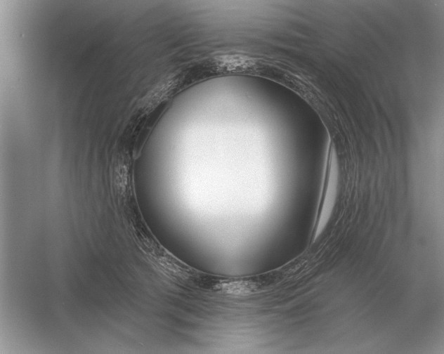 X0000056010417200509092117