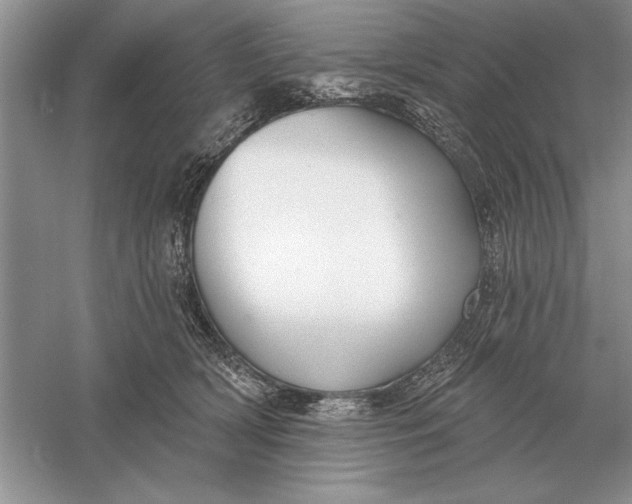 X0000056010418200509092117