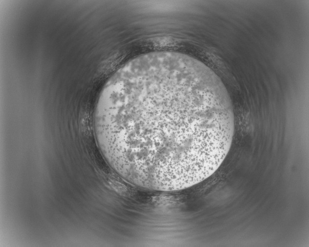 X0000056010419200509092117