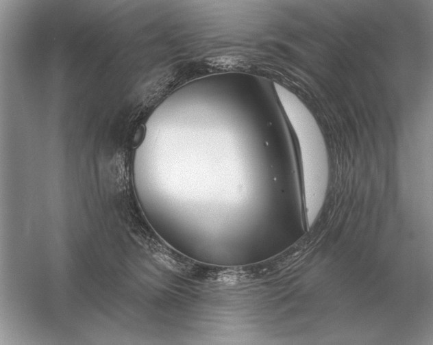 X0000056010420200509092117