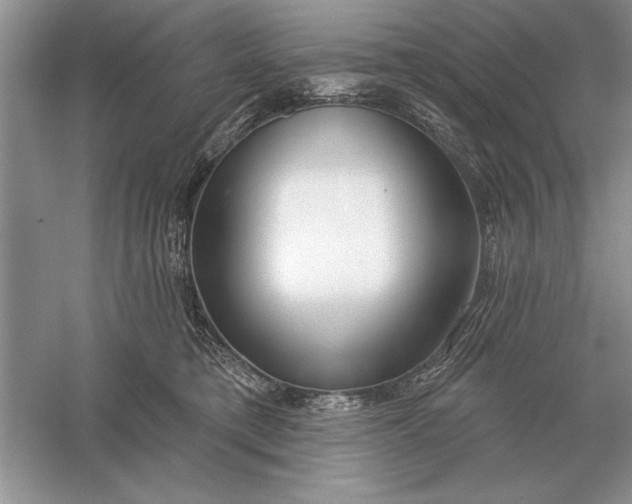 X0000056010421200509092117