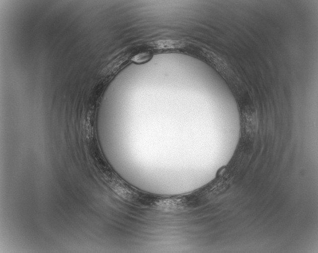 X0000056010422200509092117