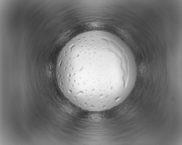 X0000056010423200509092117