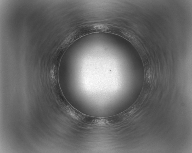 X0000056010424200509092117