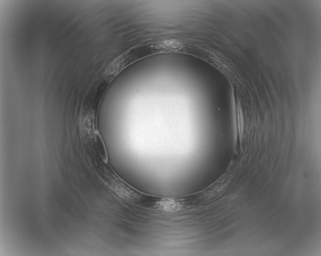 X0000056010425200509092117