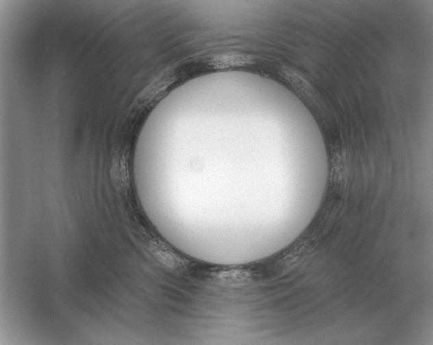 X0000056010426200509092117