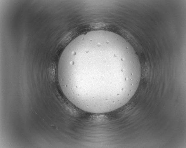 X0000056010427200509092117