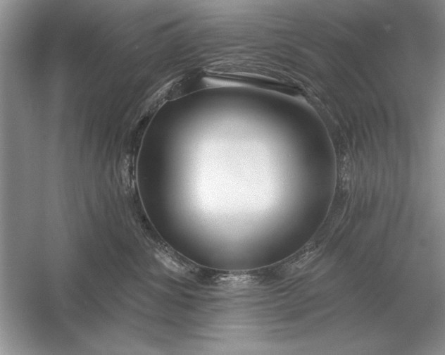 X0000056010428200509092117