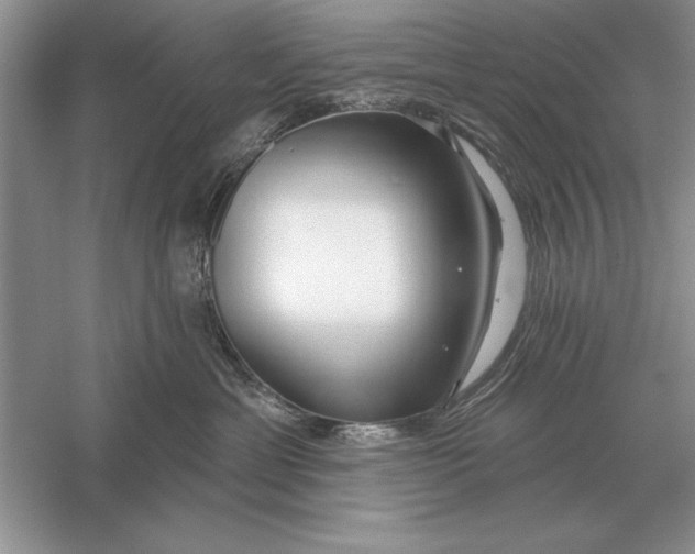 X0000056010429200509092117