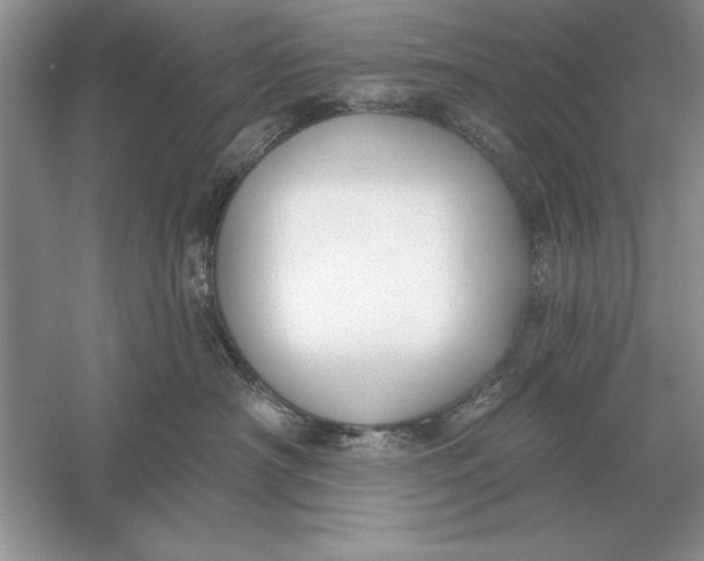 X0000056010430200509092117