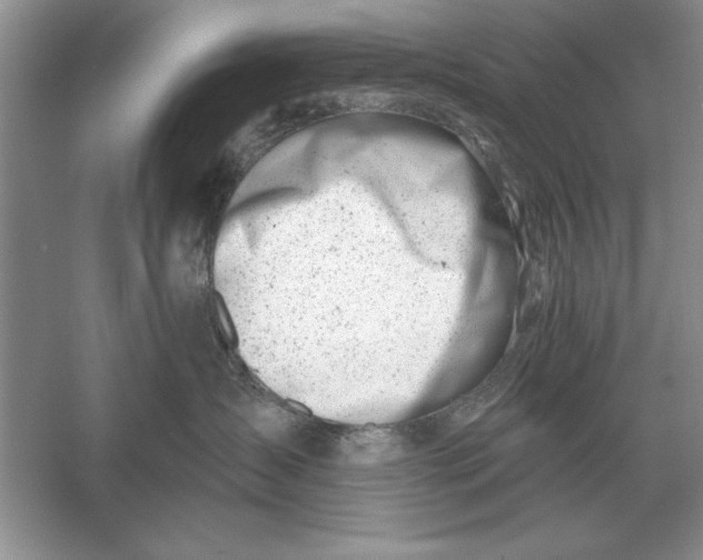 X0000056010431200509092117