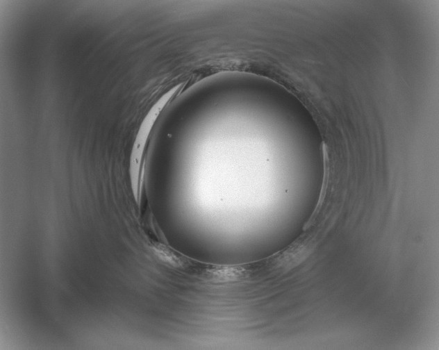 X0000056010432200509092117