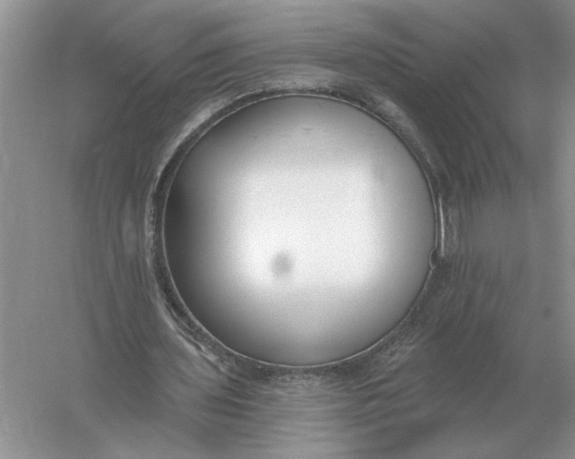 X0000056010435200509092116