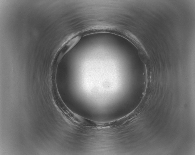 X0000056010436200509092116