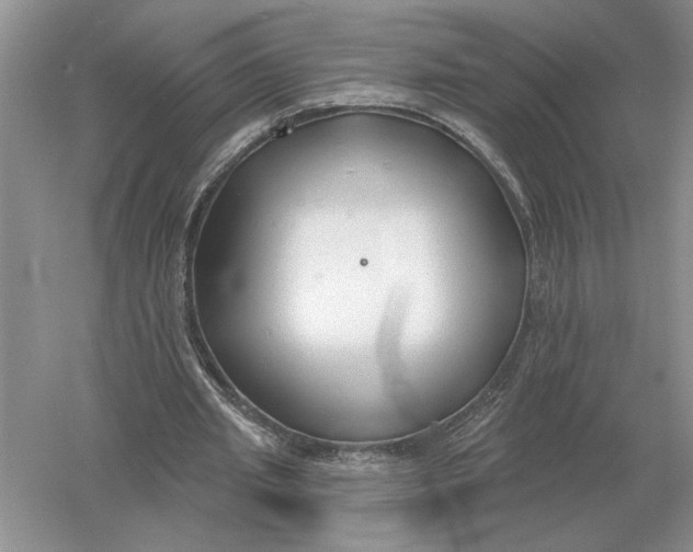 X0000056010437200509092116