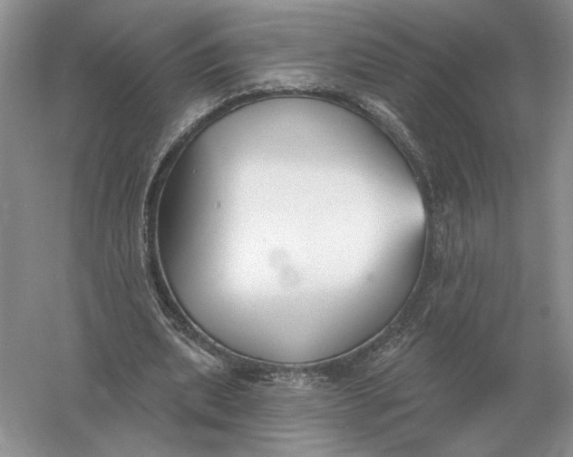 X0000056010439200509092116