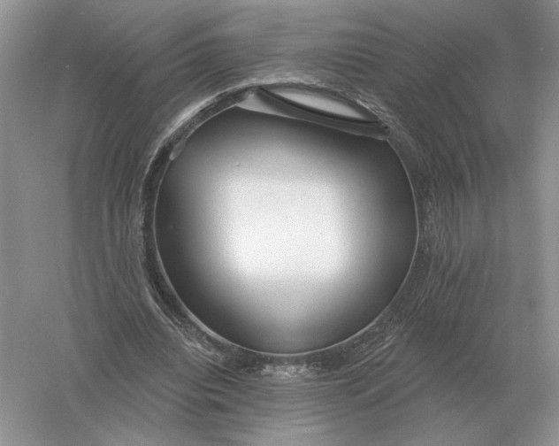 X0000056010440200509092116