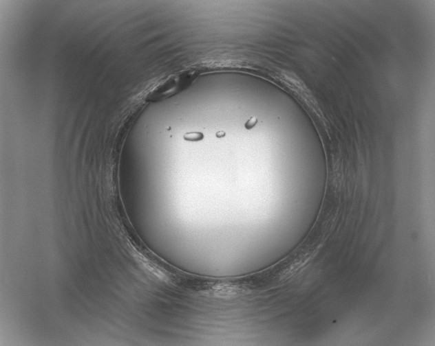 X0000056010441200509092116