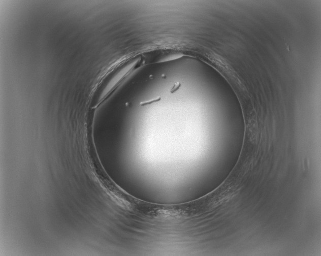 X0000056010442200509092116