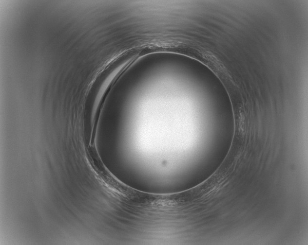 X0000056010444200509092116