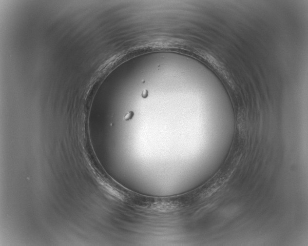 X0000056010445200509092116