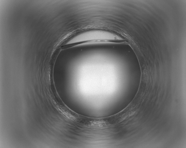 X0000056010446200509092116