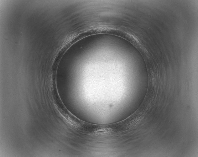 X0000056010447200509092116