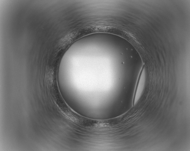 X0000056010451200509092116