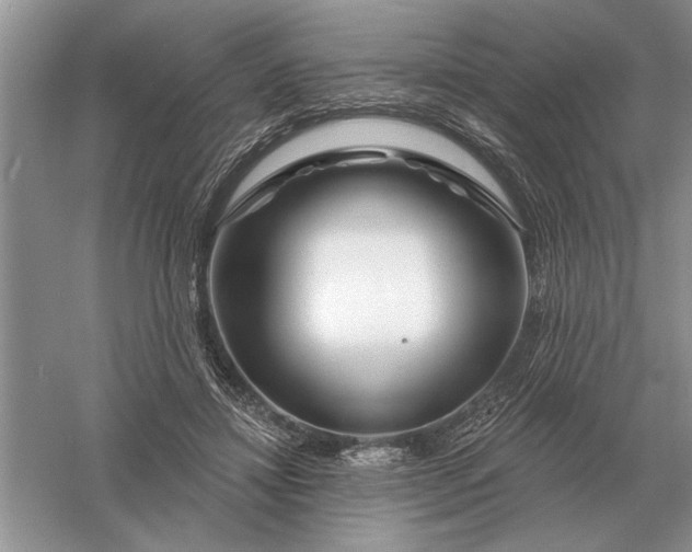 X0000056010452200509092116