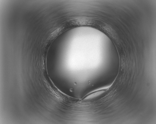 X0000056010453200509092116