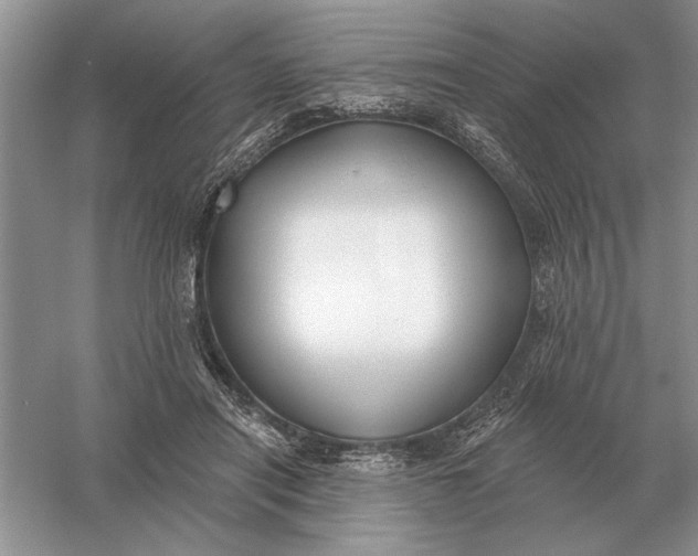 X0000056010454200509092116