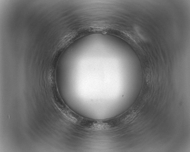 X0000056010455200509092116