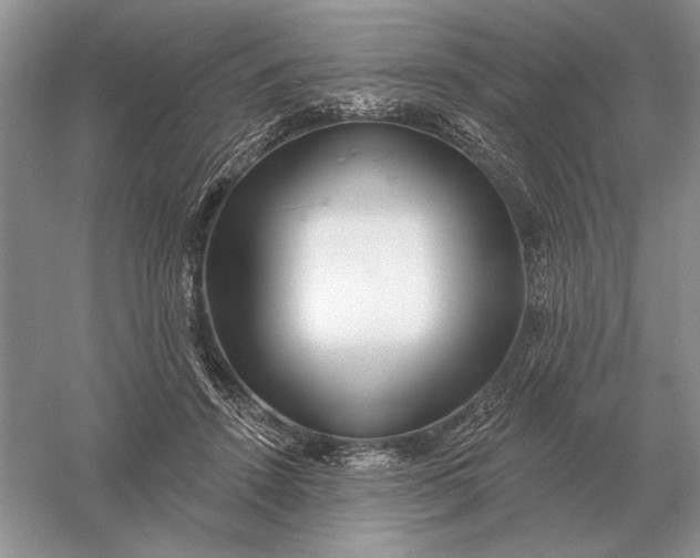 X0000056010456200509092116