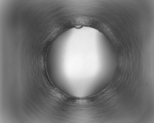 X0000056010457200509092116