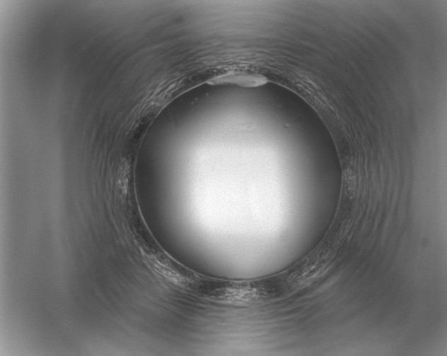 X0000056010458200509092116