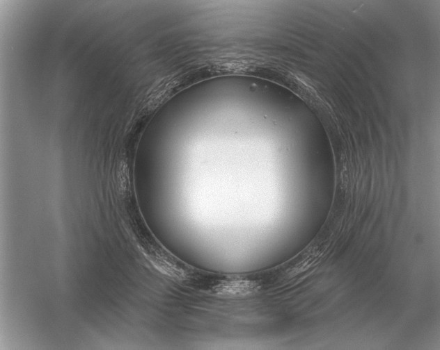 X0000056010459200509092116