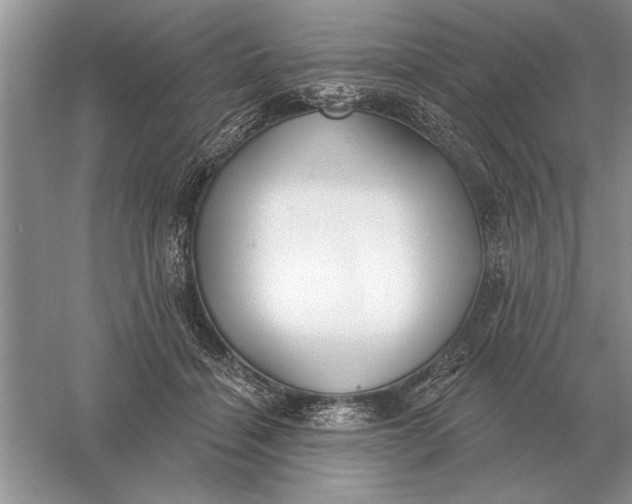 X0000056010460200509092116