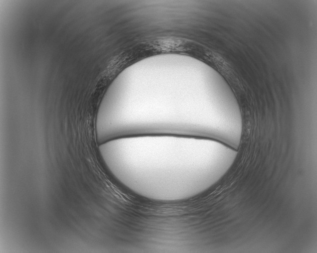 X0000056010461200509092116