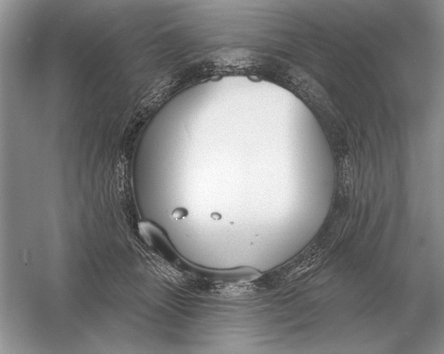 X0000056010463200509092116