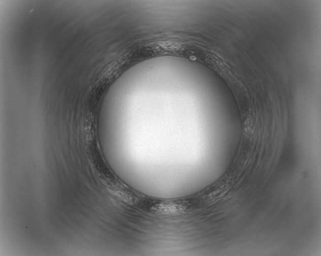 X0000056010464200509092116