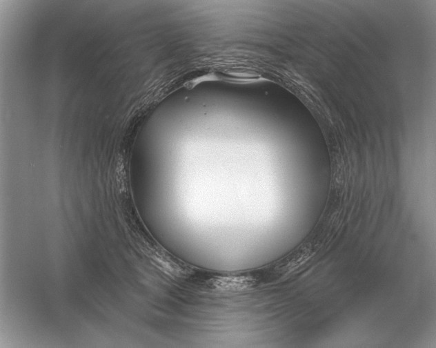 X0000056010465200509092116