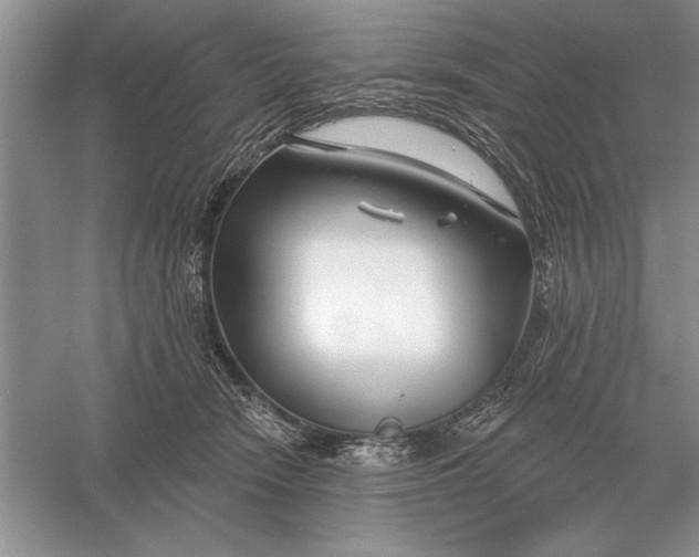 X0000056010466200509092116