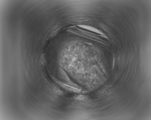 X0000056010467200509092116