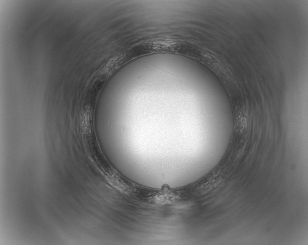 X0000056010468200509092116