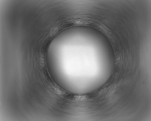 X0000056010469200509092117