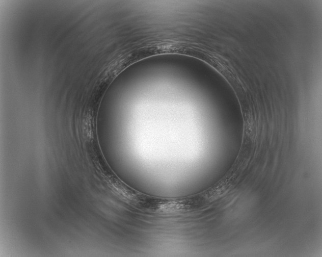 X0000056010470200509092117