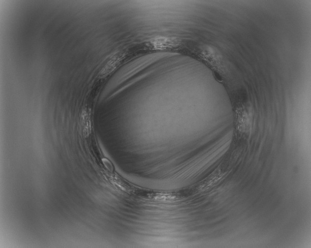 X0000056010471200509092117