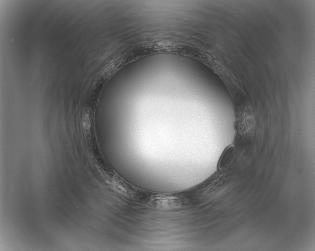 X0000056010472200509092117