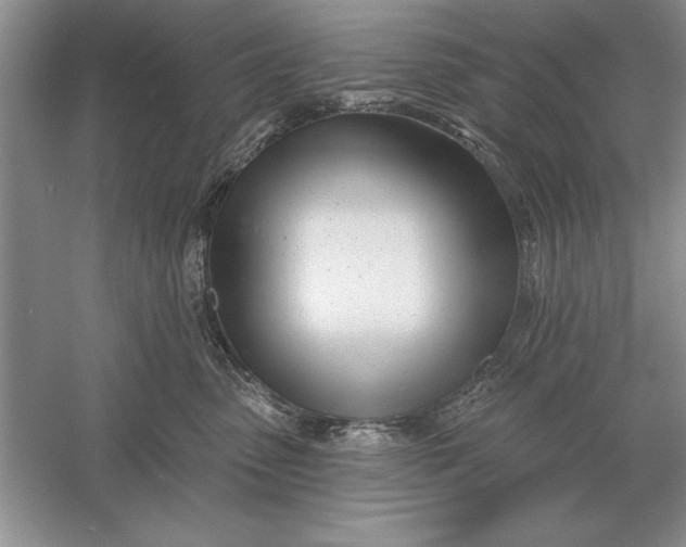 X0000056010475200509092117