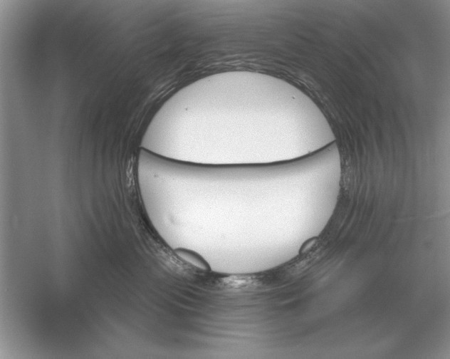 X0000056010477200509092117